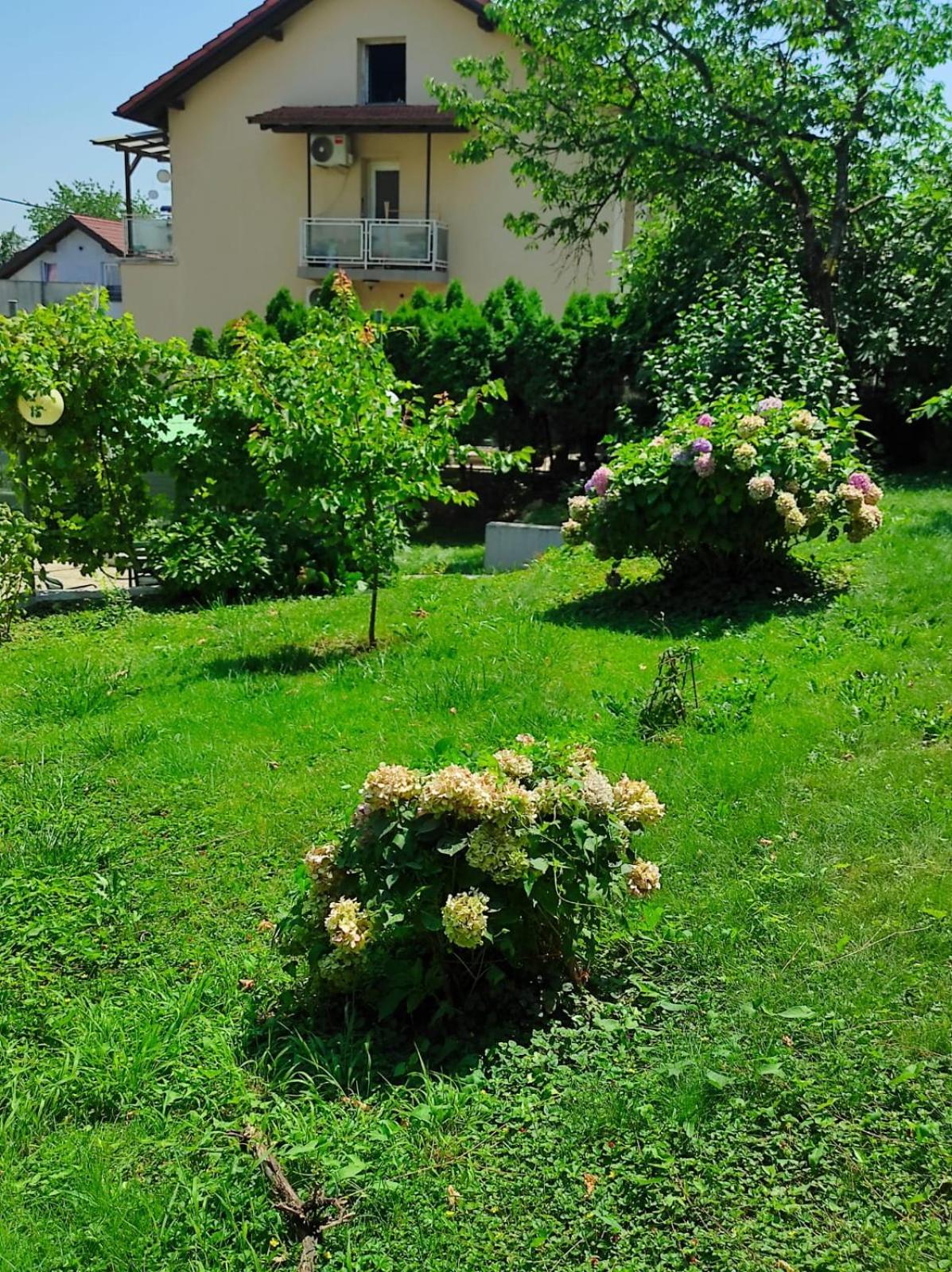 Apartman Zagreb,Rebro,Maksimir,Centar Marko Екстер'єр фото